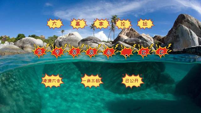 澳门天天六开彩内部资料揭秘，澳门天天六开彩内部资料大揭秘