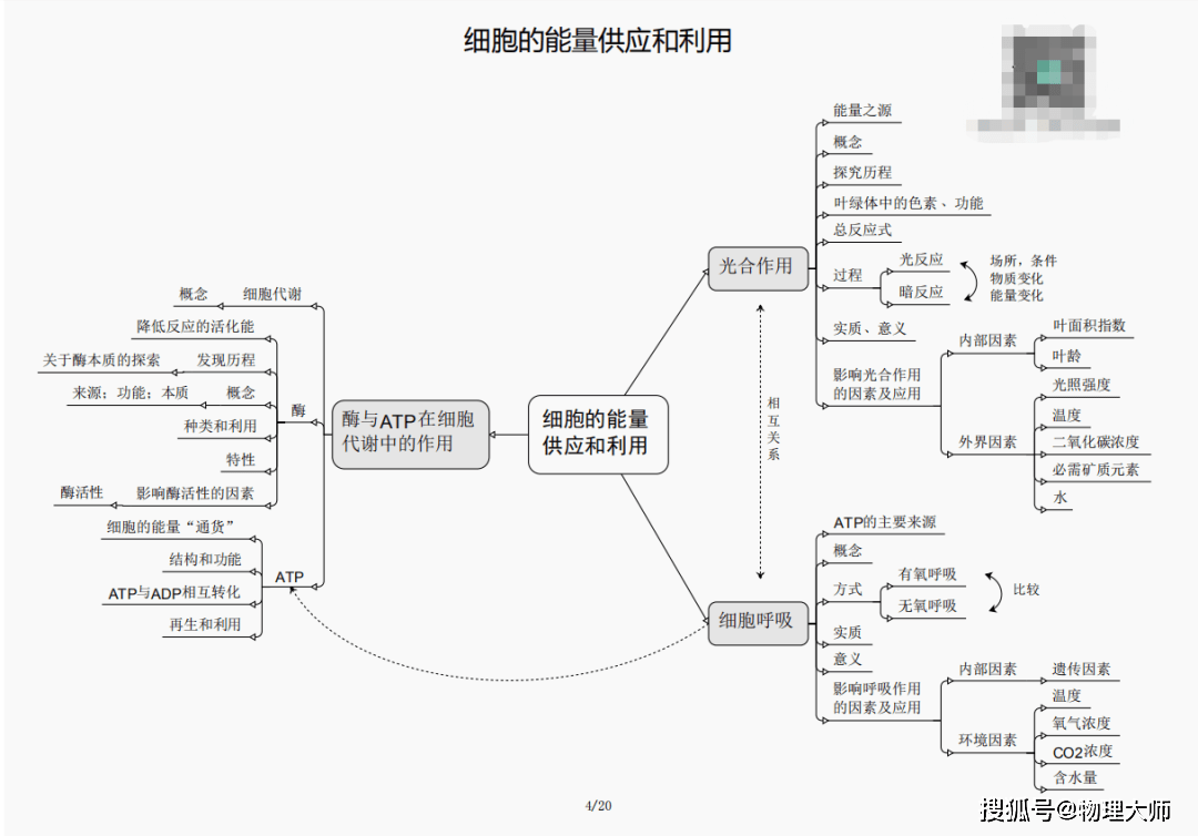 三肖必中三期必出资料，三肖必中三期必出资料独家预测揭秘