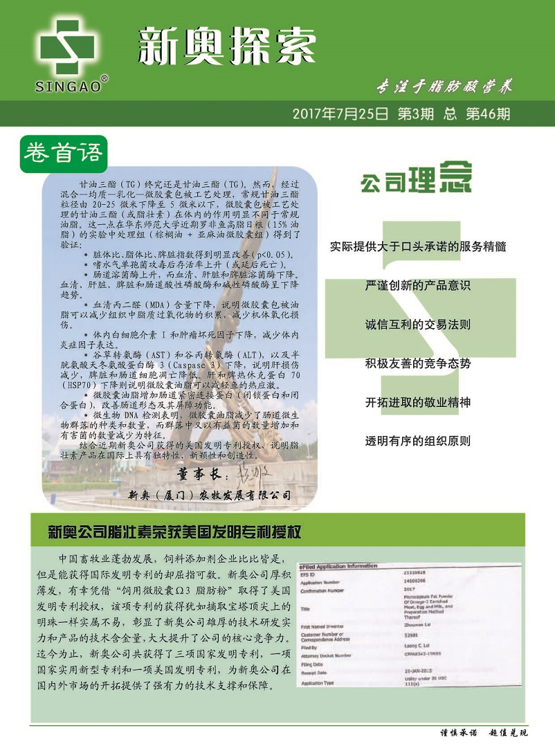 澳门 第30页