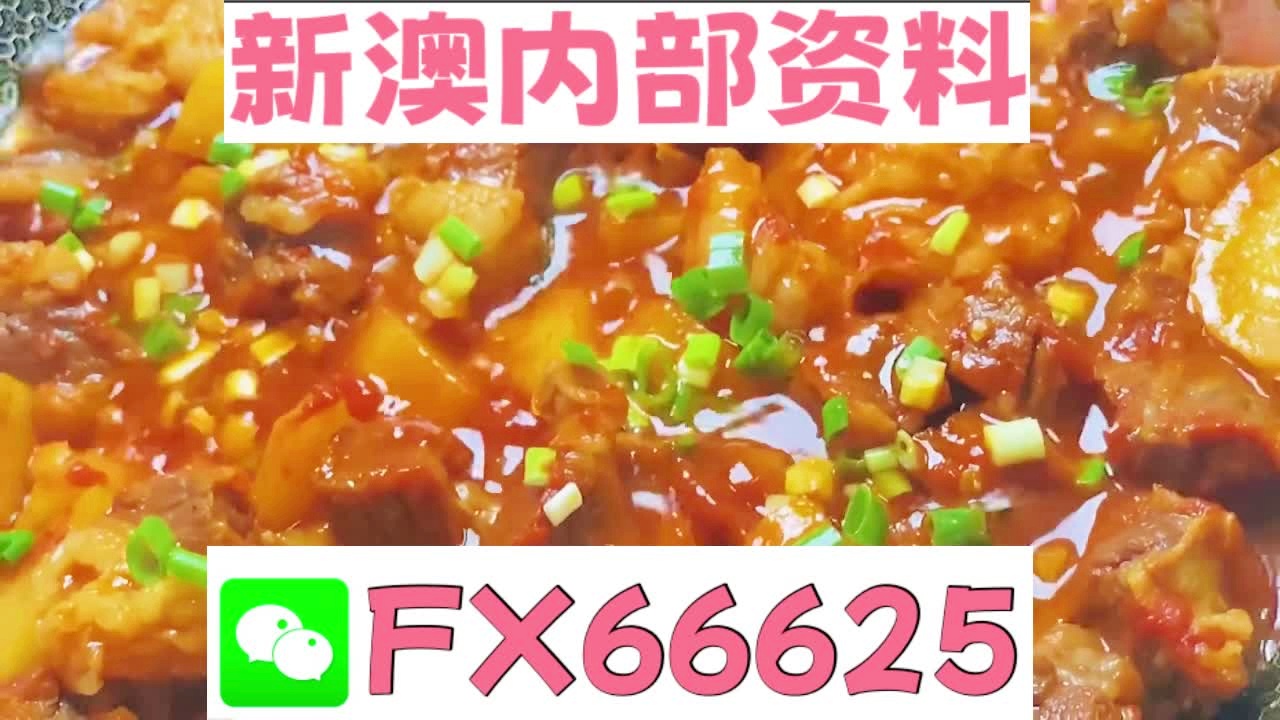 新奥门特免费资料大全火凤凰，探索与揭秘，新奥门特火凤凰免费资料大全，深入探索与揭秘