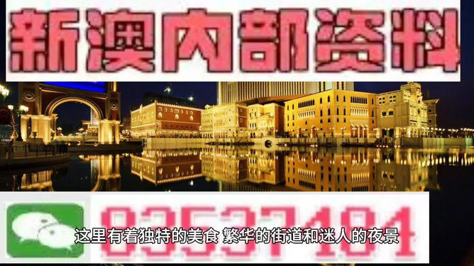新澳门精准资料大全——管家婆料的深度解析，澳门精准资料大全，管家婆料深度解析