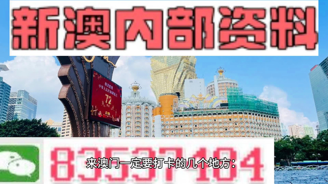 打开澳门全年免费精准资料的大门，探索与揭秘，澳门全年免费精准资料探索揭秘之旅