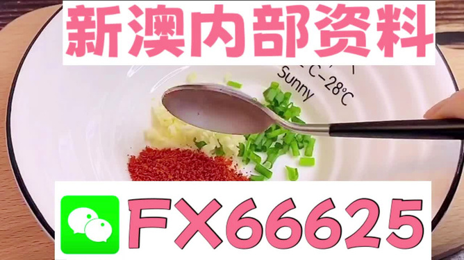 新澳全年免费资料大全，新澳全年免费资料大全汇总
