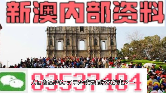 新澳门正版免费资料怎么查，澳门正版免费资料查询指南