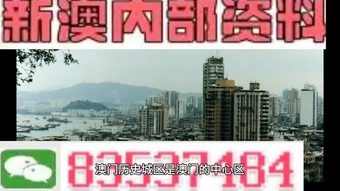 新门内部资料精准大全，一网打尽所有你需要知道的资讯，新门内部资料大全，一网打尽所有必备资讯