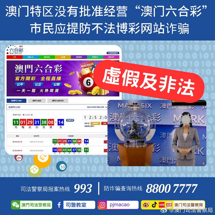 新澳门正版资料免费公开查询，澳门正版资料免费公开查询服务启动