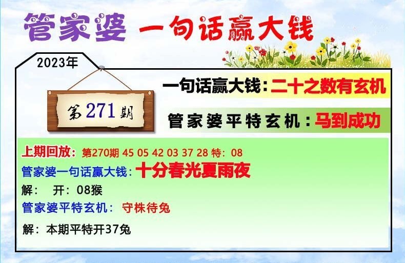 揭秘202管家婆一肖一码，揭秘背后的秘密，揭秘202管家婆一肖一码真相，揭开神秘面纱背后的秘密