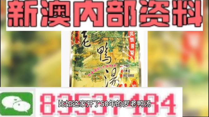 新澳正版资料与内部资料，新澳正版资料与内部揭秘