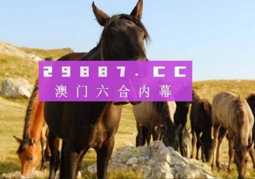 澳门管家婆一肖一码一特，揭秘背后的秘密与真相，澳门管家婆一肖一码背后的秘密与真相揭秘