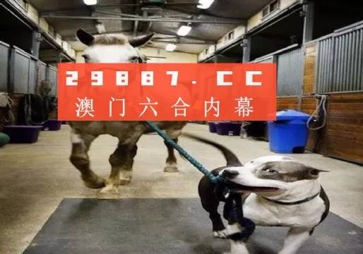 澳门一肖一码一必中，同舟共济勇攀高峰，澳门一肖一码必中，同舟共济勇攀高峰之旅