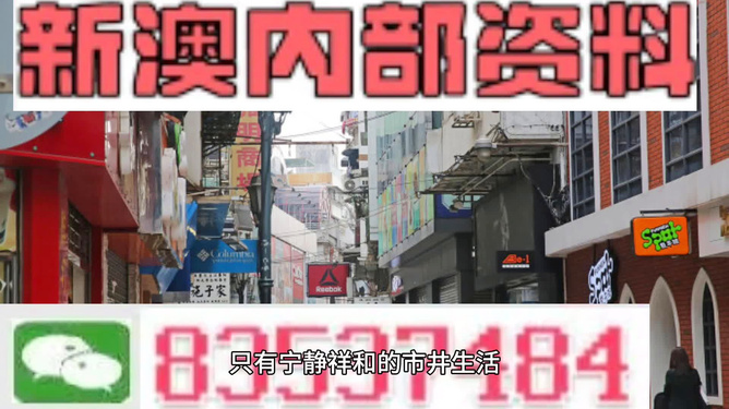 新门内部资料精准大全，新门内部资料精准大全揭秘