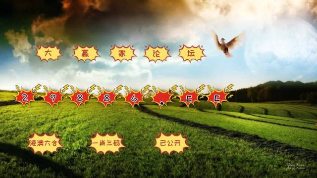 揭秘4949澳门今晚开奖的神秘面纱，澳门今晚开奖揭晓，揭秘神秘面纱下的秘密号码
