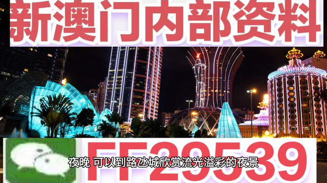 澳门今晚必开一肖一特，深度解析与预测，澳门今晚生肖特码深度解析与预测，一肖一特必开趋势探讨