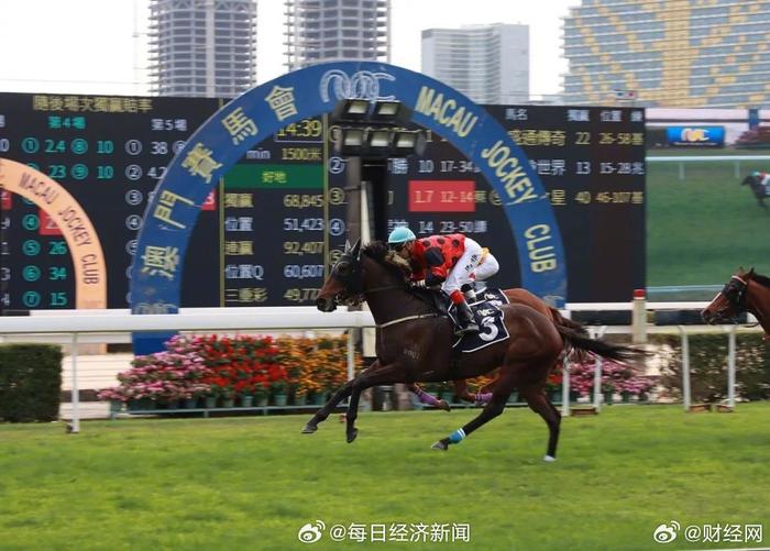 澳门赛马会网址大全免费——一网打尽澳门赛马所有精彩，澳门赛马会网址大全，免费畅享赛马精彩