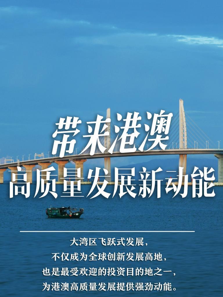 探索未来，2025新澳门精准免费大全，探索未来，2025新澳门精准免费大全概览