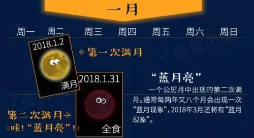 蓝月亮料精选资料天下彩——揭秘彩票行业的秘密，揭秘彩票行业秘密，蓝月亮精选资料助你赢取天下彩