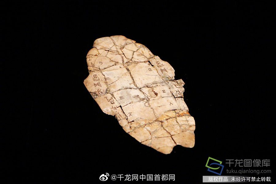 澳门蓝月亮精选免费大全，一网打尽热门娱乐资讯与实用信息，澳门蓝月亮精选，热门娱乐资讯与实用信息一网打尽