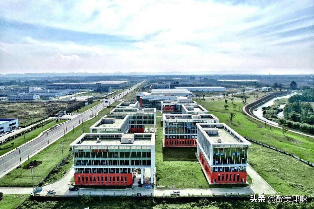 2025全年資料免費大全，2025全年資料大放送，免费获取大全