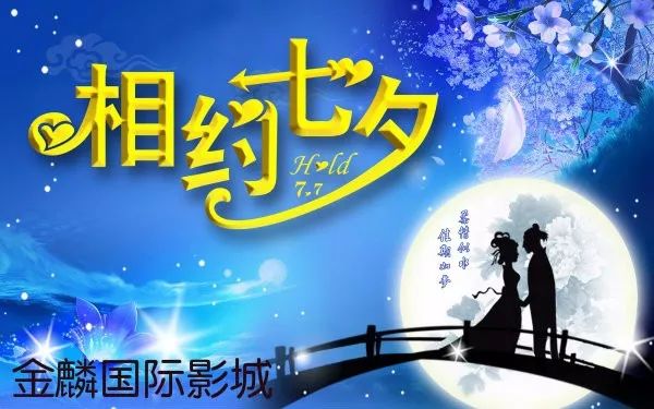 新奥门特免费资料大全火凤凰，探索与揭秘，新奥门特火凤凰免费资料大全，深入探索与揭秘