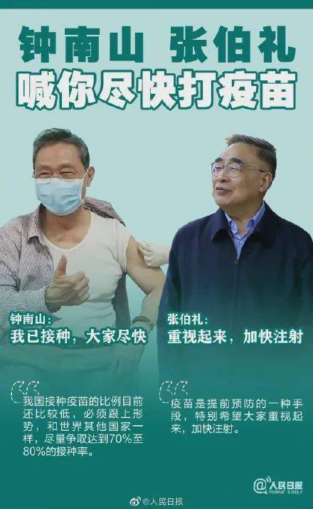 澳门一码一肖一待一中四不像的那些事，澳门一码一肖一待一中揭秘四不像那些事
