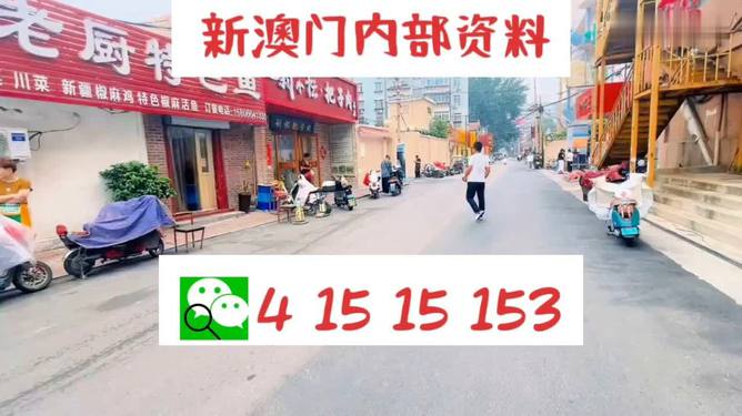 2025新澳门天天开好彩大全正版，澳门彩票资讯，2025年天天好彩正版大全揭秘