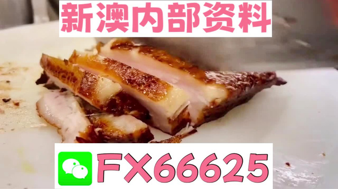 新奥长期免费资料大全，一网打尽所有你需要的知识，新奥长期免费资料大全，一站式获取所有所需知识