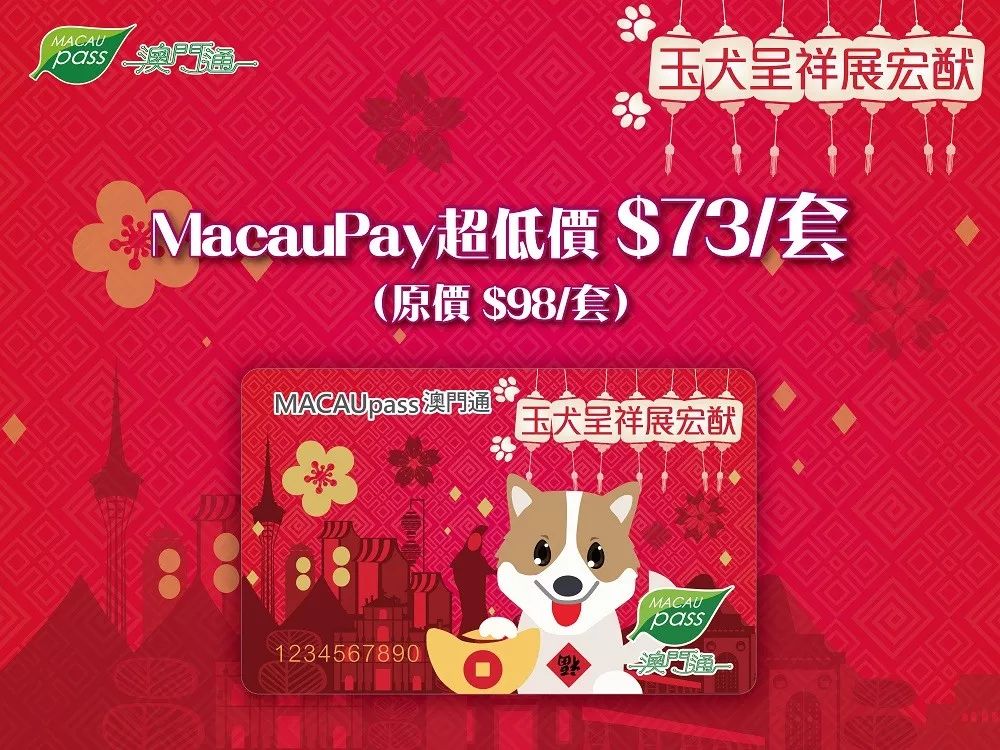 澳门正版资料大全资料生肖卡的奥秘与魅力，澳门正版资料大全，生肖卡的奥秘与魅力