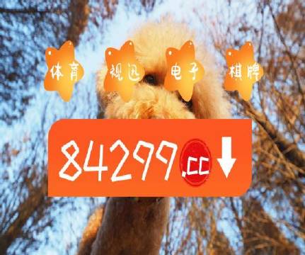 澳门天天免费精准大全，澳门天天免费精准大全——精选资料汇总