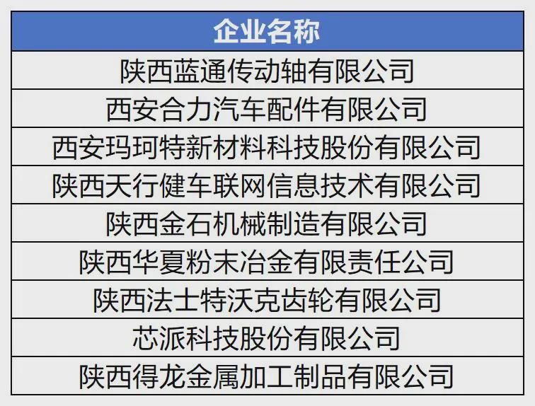 2025新澳门精准四肖期期中特公开