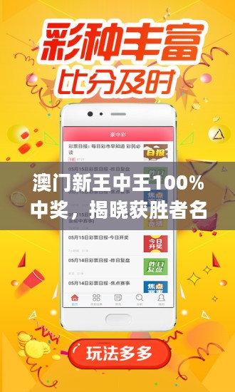 揭秘新澳门王中王，期期中之谜与博彩文化探微，揭秘新澳门王中王，期期彩票之谜与博彩文化深度解析