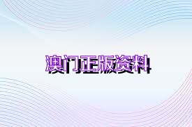 2025澳门免费资料,正版资料206期资料，澳门正版资料2025年免费版第206期回顾