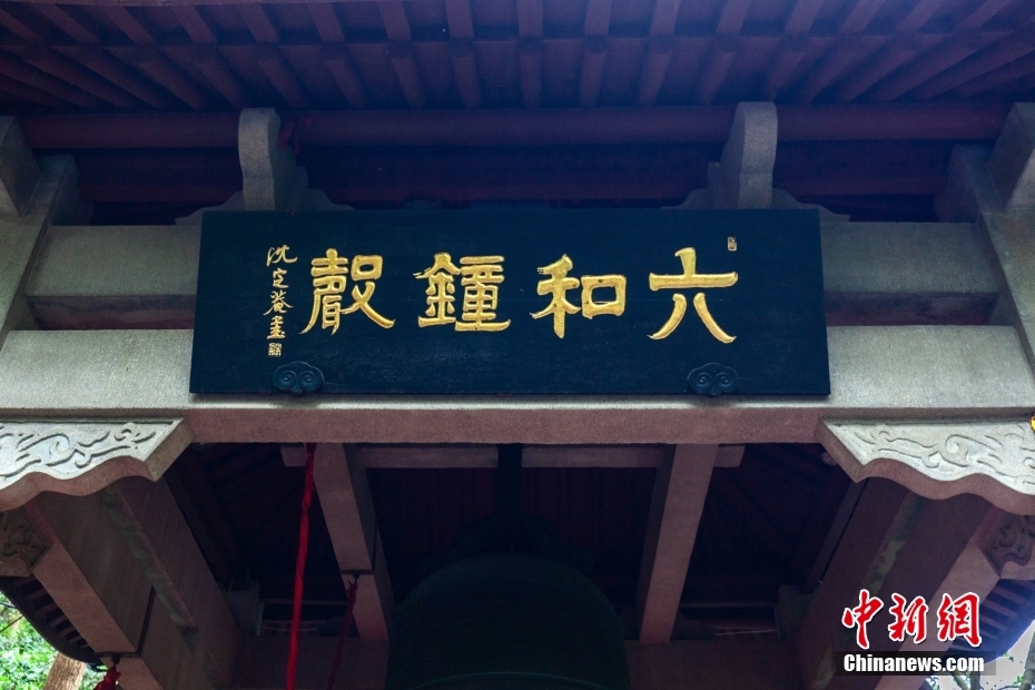 探索六和彩资料，热门网址一览与深度解读，探索六和彩资料，热门网址深度解读与一览