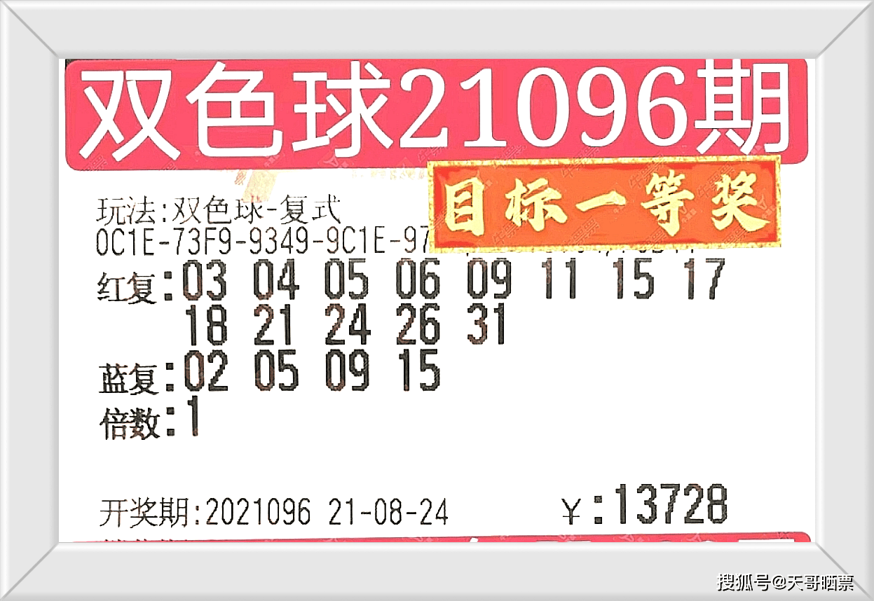 揭秘今晚澳门开奖号码结果，澳门开奖号码结果揭秘之夜