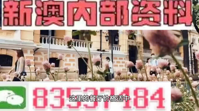 澳门最精准免费资料大全旅游团，澳门最精准免费旅游资料大全及旅游团介绍