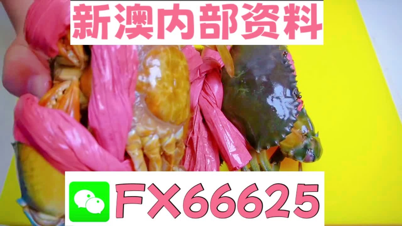 2025新澳精准资料大全解释，2025新澳精准资料大全详解
