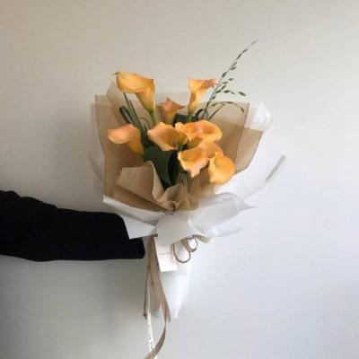 澳门天天开彩开奖结果——深度解读与热点关注，澳门天天开彩开奖结果深度解析与热点聚焦