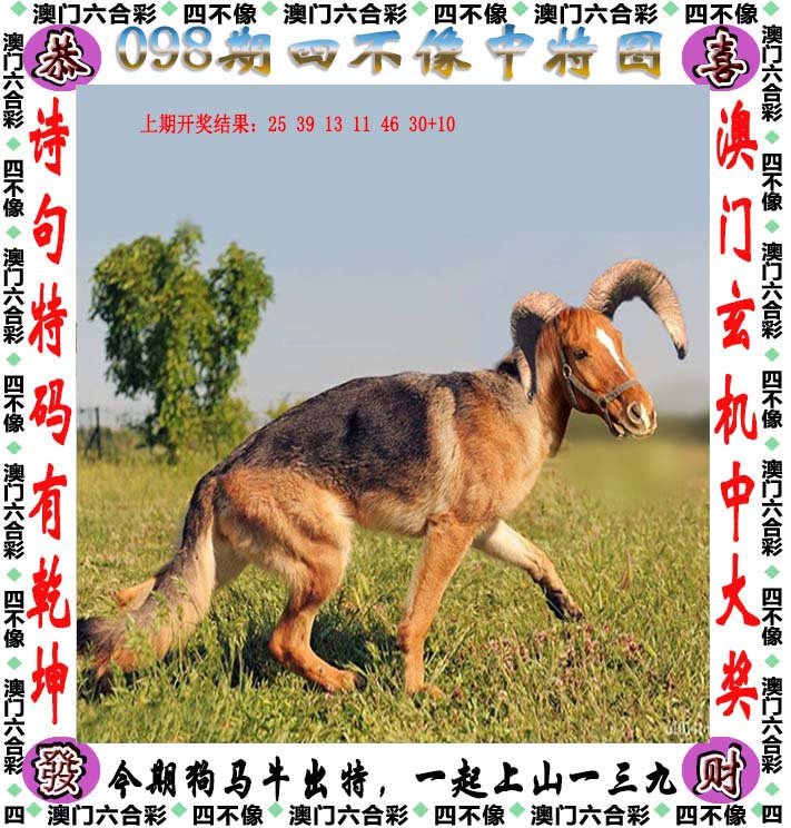 四不像正版资料查看，四不像正版资料详查