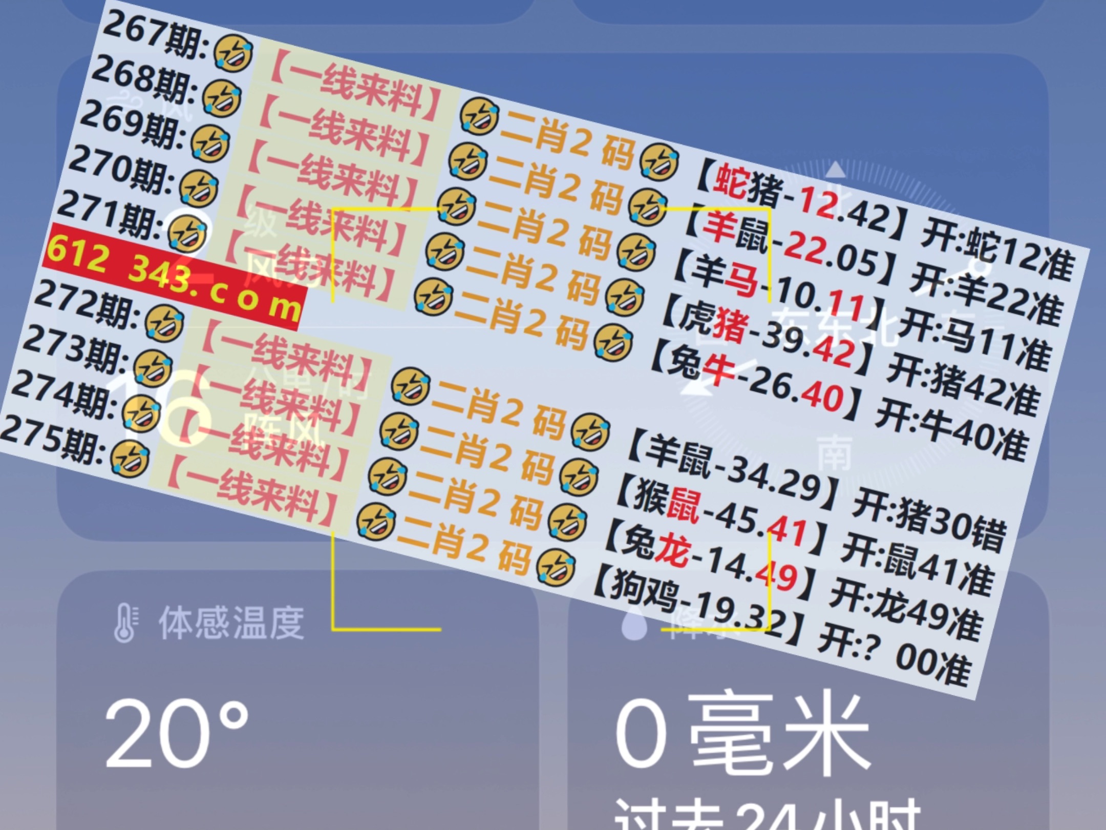 新奥门资料免费2025年49，澳门最新资料免费分享2025年预测第49期