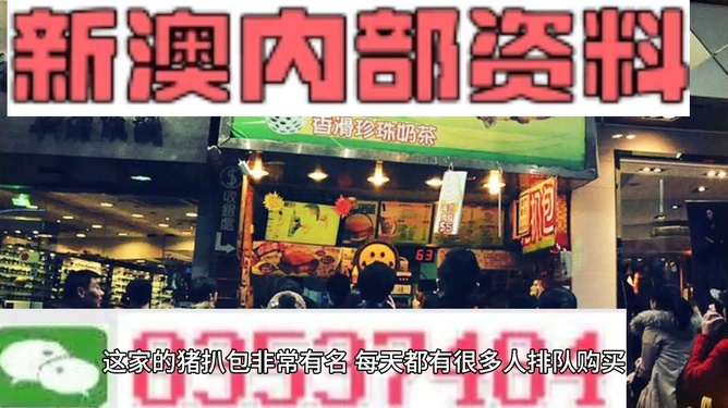 2025新澳精准资料大全解释，2025新澳精准资料大全详解