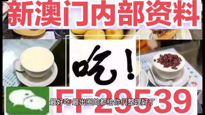 2025年澳门特马今晚号码，澳门特马今晚号码预测（2025年）
