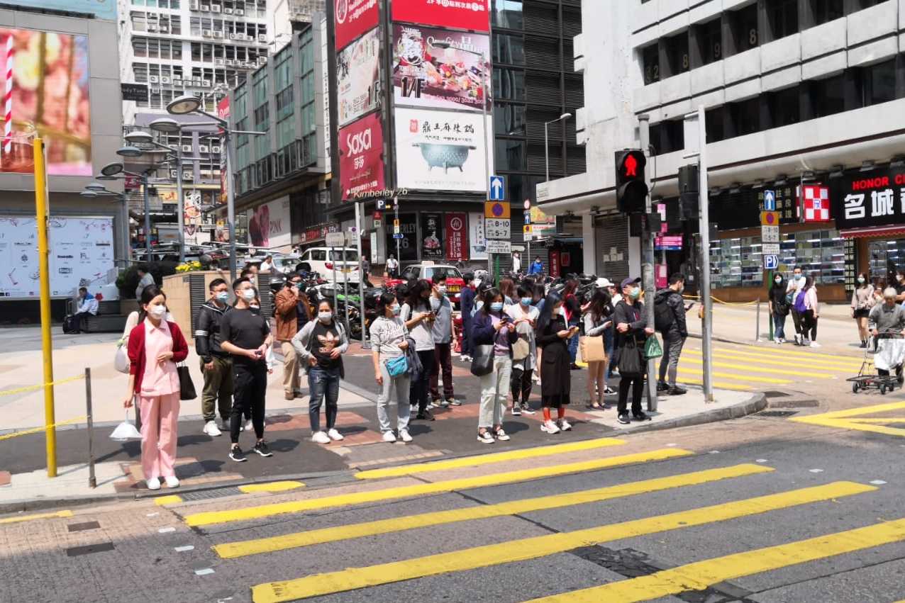 香港6合资料大全查询十二生肖波路板，香港六合资料大全查询，十二生肖波路板全解析