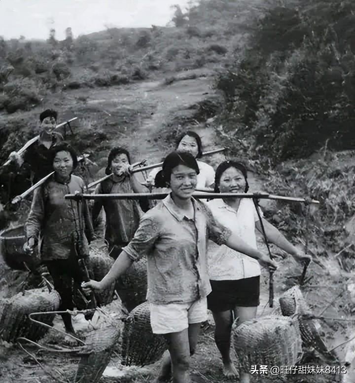 探索49图库，图片与资料中的三中三奥秘，揭秘49图库，探寻图片与资料中的三中三奥秘