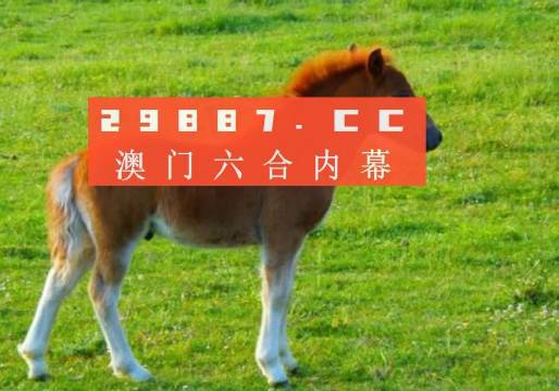 新澳门一肖一马一恃一中，澳门生肖马肖预测与特色探索