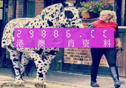 澳门王中王一肖一特一中大揭秘，澳门王中王，一肖一特一中神秘揭秘