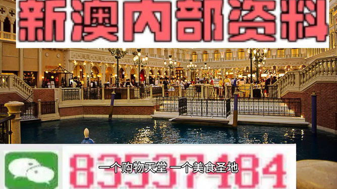 新澳门免费资料大全——在线查看的便捷之门，澳门免费资料大全在线便捷查询指南