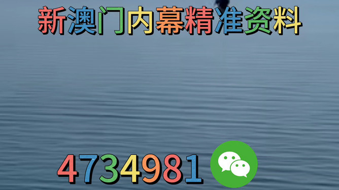 揭秘澳门精准免费高手使用方法，澳门精准免费高手使用指南揭秘